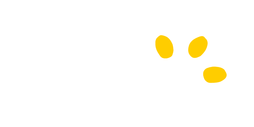 Neues pro multis Logo im Rahmen des Vlip-Rebrandings – modernes Design mit weißer Schrift auf blauem Hintergrund und gelben grafischen Elementen.