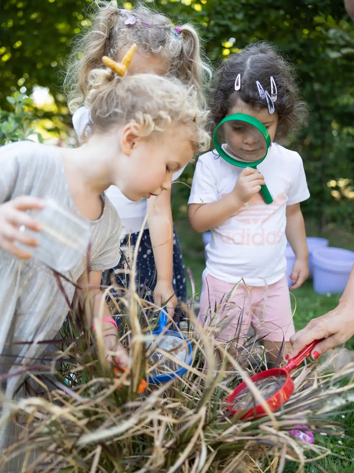 Kinder schauen mit Lupen und Bechern neugierig in Büsche – ein Bild aus dem Vlip-Projekt für pro multis im Rahmen des umfassenden Rebrandings und neuen Corporate Designs.